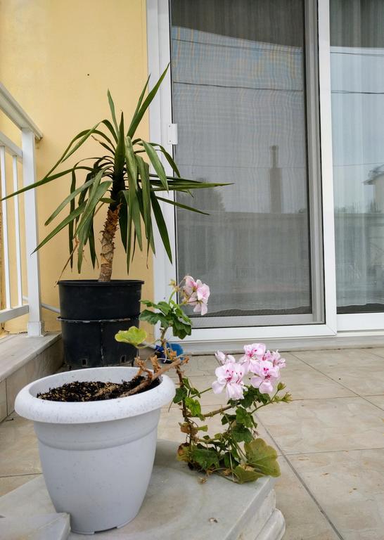 Dimitris Luxury Apartment Keramotí Exteriér fotografie